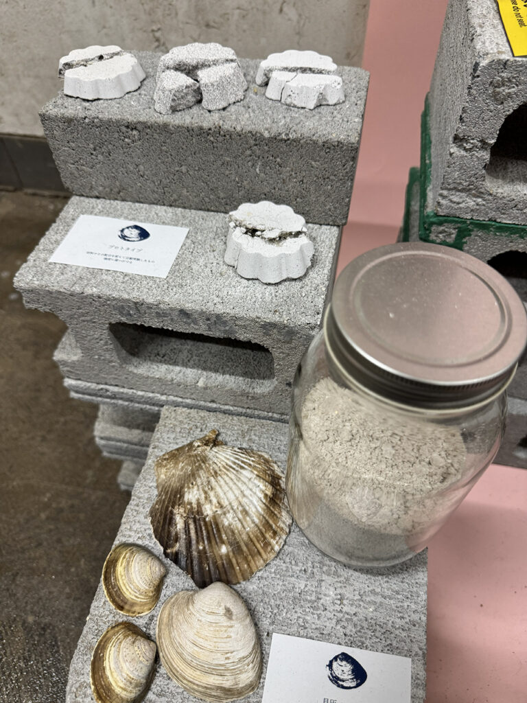 20260106_バイオセメント_帰する貝_藤澤麻衣_京都工芸繊維大学_03